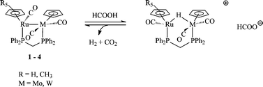 Graphical abstract: Synthesis, characterization and reactivity of heterobimetallic complexes (η5-C5R5)Ru(CO)(μ-dppm)M(CO)2(η5-C5H5) (R = H, CH3; M = Mo, W). Interconversion of hydrogen/carbon dioxide and formic acid by these complexes