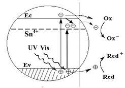 Graphical abstract: Improved photocatalytic activity of Sn4+ doped TiO2 nanoparticulate films prepared by plasma-enhanced chemical vapor deposition