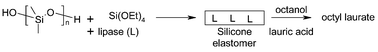 Graphical abstract: Highly activated, silicone entrapped, lipase