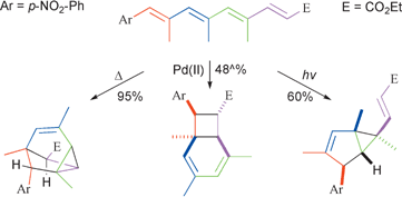 Graphical abstract: Biomimetic studies on polyenes