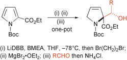 Graphical abstract: Scope of the reductive aldol reaction: application to aromatic carbocycles and heterocycles