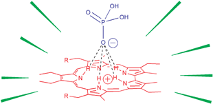 Graphical abstract: Water soluble sapphyrins: potential fluorescent phosphate anion sensors