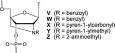 Graphical abstract: Functionalized LNA (locked nucleic acid): high-affinity hybridization of oligonucleotides containing N-acylated and N-alkylated 2′-amino-LNA monomers