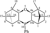 Graphical abstract: Ligand ambivalence in pallada(platina)cyclic complexes of a rigid phosphine