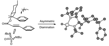Graphical abstract: Imido-osmium(viii) compounds in organic synthesis: aminohydroxylation and diamination reactions
