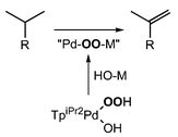 Graphical abstract: Interaction of hydroperoxopalladium complexes, (TpR)(py)Pd–OOH, with hydroxo-nickel and -cobalt complexes, [(μ-OH)(MTpR′)]2 (M = Ni, Co), leading to oxidative dehydrogenation of the saturated hydrocarbyl moiety in the ancillary ligand (TpiPr2)