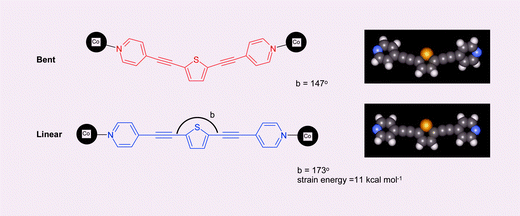 Graphical abstract: Unusual flexibility of 2,5-bis(4-pyridylethynyl)thiophene self-assembled with Co(NCS)2 in a novel coordination polymer