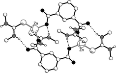 Graphical abstract: Zinc dicarboxylate polymers and dimers: thiourea substitution as a tool in supramolecular synthesis