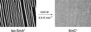 Graphical abstract: Ferroelectric liquid crystals induced by atropisomeric biphenyl dopants: influence of the SmC host mixture composition