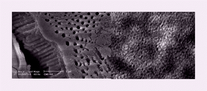 Graphical abstract: One-pot surfactant assisted synthesis of aluminosilicate macrochannels with tunable micro- or mesoporous wall structure