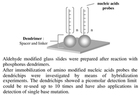 Graphical abstract: Dendrislides, dendrichips: a simple chemical functionalization of glass slides with phosphorus dendrimers as an effective means for the preparation of biochips