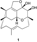 Graphical abstract: A total synthesis of (±)-phomactin A