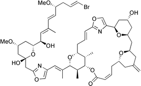 Graphical abstract: Total synthesis of (+)-phorboxazole A, a potent cytostatic agent from the sponge Phorbas sp.