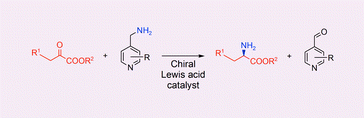 Graphical abstract: Catalytic enantioselective transaminiation of α-keto esters: an organic approach to enzymatic reactions