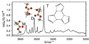 Graphical abstract: Self-organization of lactates in the gas phase