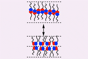 Graphical abstract: A bilayer to monolayer phase transition in liquid crystal glycolipids