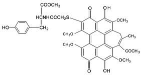 Graphical abstract: A tyrosine-modified hypocrellin B with affinity for and photodamaging ability towards calf thymus DNA