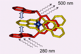 Graphical abstract: Light-emitting charge transfer species promoted by metal ion coordination