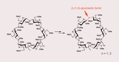 Graphical abstract: A facile synthesis of novel cyclodextrin derivatives incorporating one β-(1,4)-glucosidic bond and their unique inclusion ability