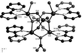 Graphical abstract: Synthesis and structural and magnetic characterisation of tetranuclear Cu(ii) complexes possessing novel [Cu4(μ4-PO4)2(μ2-CO3)] butterfly cores that exhibit supramolecular isomerism