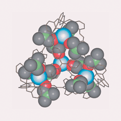 Graphical abstract: A metallosupramolecular tetrahedron with a huge internal cavity