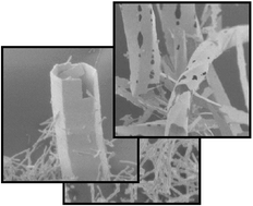 Graphical abstract: Preparation of indium nitride micro- and nanostructures by ammonolysis of indium oxide