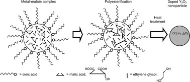 Graphical abstract: Pechini-type in-situ polymerizable complex (IPC) method applied to the synthesis of Y2O3:Ln (Ln = Ce or Eu) nanocrystallites