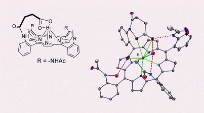 Graphical abstract: Structural characterisation of the first mononuclear bismuth porphyrin