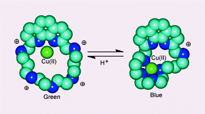 Graphical abstract: Hydrogen-ion driven molecular motions in Cu2+-complexes of a ditopic phenanthrolinophane ligand