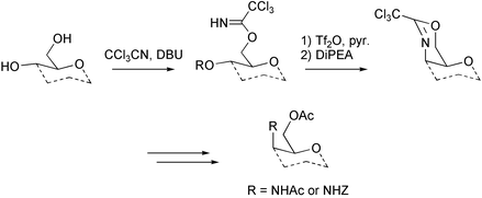 Graphical abstract: A novel strategy towards the synthesis of orthogonally functionalised 4-aminoglycosides