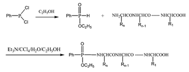 Graphical abstract: Novel synthetic method of phosphonamidate peptides and its application in peptide sequencing via multistage mass spectrometry