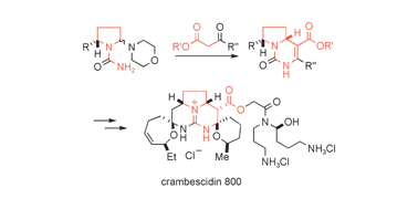 Graphical abstract: The tethered Biginelli condensation in natural product synthesis