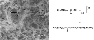 Graphical abstract: Supercritical CO2 dried chitosan: an efficient intrinsic heterogeneous catalyst in fine chemistry
