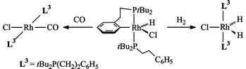 Graphical abstract: The ambivalent behaviour of aryl-functionalized phosphines: coordination, hemilability and beyond