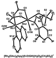 Graphical abstract: Structural evidence for monodentate binding of guanine to the dirhodium(ii,ii) core in a manner akin to that of cisplatin