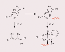 Graphical abstract: Different thermal reactivity of a 1,2-thiaphospholo[a]phosphirane in free and metal carbonyl complexed form