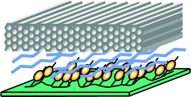 Graphical abstract: Photo-orientation of mesoporous silica materials via transfer from an azobenzene-containing polymer monolayer
