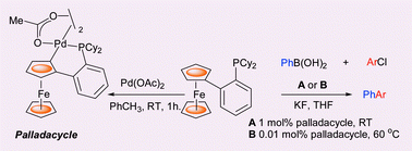 Graphical abstract: A ferrocene based palladacyclic precatalyst for the Suzuki cross-coupling of aryl chlorides