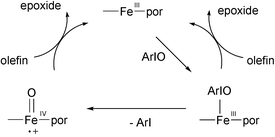 Graphical abstract: Multiple active oxidants in competitive epoxidations catalyzed by porphyrins and corroles