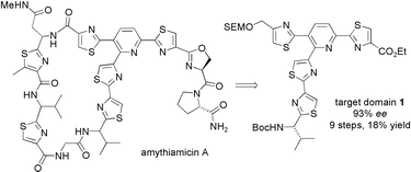 Graphical abstract: First synthesis of an amythiamicin pyridine cluster