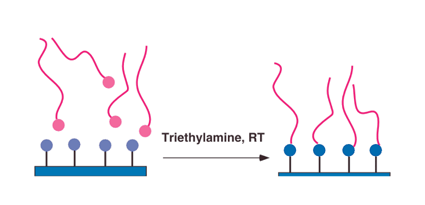 Graphical abstract: Room-temperature one-step immobilization of rod-like helical polymer onto hydrophilic substrates