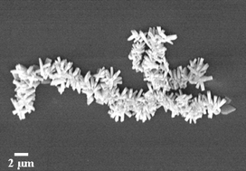 Graphical abstract: Highly organized assembly of barite crystals grown within thermally evaporated AOT thin films