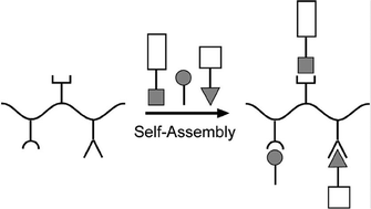 Graphical abstract: Non-covalent side-chain polymers: design principles, functionalization strategies, and perspectives