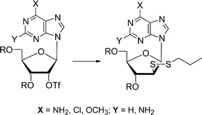 Graphical abstract: Synthesis and cytotoxicity of 9-(2-deoxy-2-alkyldithio-β-D-arabinofuranosyl)purine nucleosides which are stable precursors to potential mechanistic probes of ribonucleotide reductases