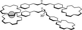 Graphical abstract: Biscrown fluoroionophores: has the dye conformation an influence upon the formation of sandwich complexes in the ketocyanine series?