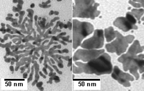 Graphical abstract: Flat gold nanostructures by the reduction of chloroaurate ions constrained to a monolayer at the air–water interface