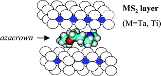 Graphical abstract: Intercalation materials from azamacrocycles and layered sulfides: electrical and electrochemical behaviour