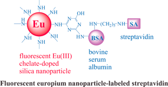 Graphical abstract: Novel fluorescent europium chelate-doped silica nanoparticles: preparation, characterization and time-resolved fluorometric application