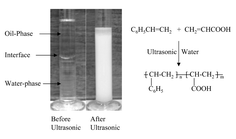 Graphical abstract: Emulsifier-free ultrasonic emulsion copolymerization of styrene with acrylic acid in water