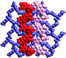 Graphical abstract: Multiple molecules in the crystallographic asymmetric unit. Self host–guest and doubly interpenetrated hydrogen bond networks in a pair of keto-bisphenols